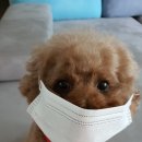 더존미용실 네이버블로그