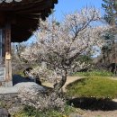 매화2공원 이미지