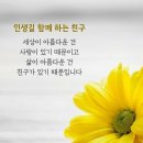 애정이 꽃피던 시절/노래 나훈아 이미지