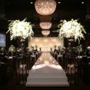 아모리스 이미지