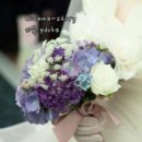 DVD시네마서초