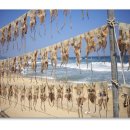 해와달그리고별 이미지