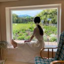 어 타이니 리틀피스 이미지