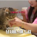 대리농장 이미지