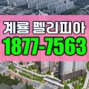 엄사도서관 | 계룡 펠리피아 모델하우스 실제 관람 후기