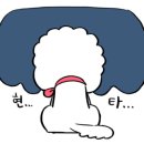 도그밀리 이미지