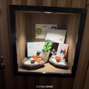 부모와 자녀의 충만한 삶을 위한 수용전념치료(1) | 동탄심리상담센터 학교에서 왕따를 당하는 것 같은데 자녀가 말을 안해서 답답하네요 학교생활적응문제