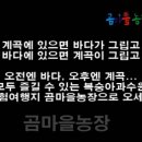 곰마을민박 이미지