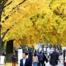 한옥마을 이미지