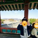 청소년 공부멘탈 | [내발내간] 수원화성, 아이와 주말 나들이 성곽길 산책과 화성어차 탑승 시간표 + 예약 팁