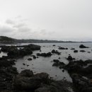 대포포구1 이미지