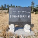 묘 이미지