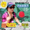월림