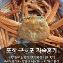 홍게제철!!포항 구룡포 바로 먹는 자숙홍게🦀