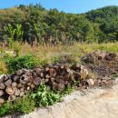 부산리 농장 이미지