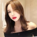 골드브라운 이미지