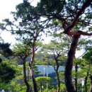 통일기원 미륵대불 이미지