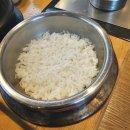 제주흑도야지 구이랑 김치찌개 이미지