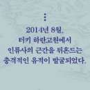 인류 본사 오리엔트-중동의 눈으로 본 1만 2,000년 인류사-이희수 저자(글) 이미지