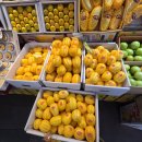 이레청과 이미지