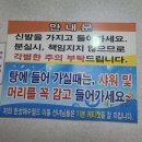 세신안경 | 부산 동구📍한성해수월드 / 위치및 가격 / 목욕 사우나 / 세신