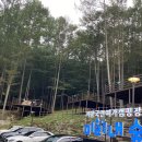 늘예솔글램핑 | [공지] [여행/거창] 경남의 스위스 미리내숲 ⛰️남두육성_추천 객실&amp;데크:이런 사람들은 가지마요!: 미리...