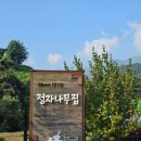 정자나무집모텔 이미지