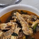 칠포횟집 | [포항] 칠포 해수욕장 물회 맛집 <죽천해녀횟집> 메뉴/주차/웨이팅 후기
