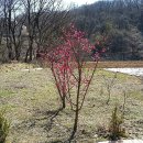원터마을진입로 | 近畿旅行(71): 석운동 · 하오고개 · 청계산 국사봉