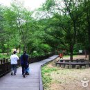 부산치유의숲 방문자센터 이미지