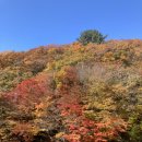 (주)천아
