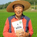 보배솔루션