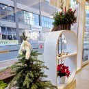 스시도초밥 | 천안 불당동 초밥 맛집 스시도 런치세트트 후기