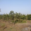 위미2리 이미지