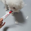 메디코니 이미지