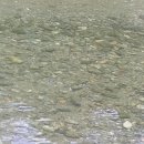 가곡동굴팬션 이미지