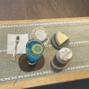 연디브 | [취준 일상] 개복치 취준생