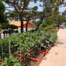 대구범일초등학교 이미지