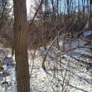 북내초등학교운암분교장 이미지