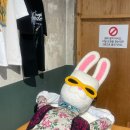 당근 오락실 | 성수 팝업 스토어 6월 예약: 지구오락실3 우주떡집 팝업 방문, 굿즈 후기