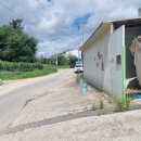 선단진입도로 이미지