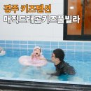 드래곤 키즈 풀빌라 펜션 | 경주 키즈펜션 아이랑 경주 매직드래곤키즈풀빌라