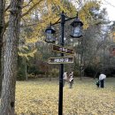 은행나무3길 이미지