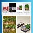 삼단지농장 이미지