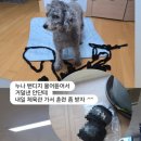 풍산권투체육관 이미지