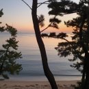 테라스펜션 이미지