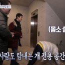 반려감동 - 도봉구 도봉로141길 55 | 반려감동