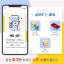 도그스쿨 이미지