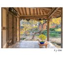 백운동 정원 이미지