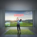 빅스크린 골프 이미지